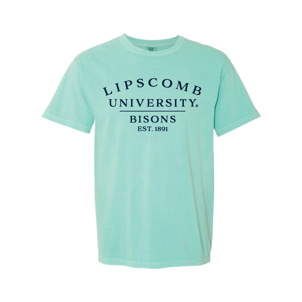 Spring '24 Comfort Colors Tee, Chalky Mint Campus Store
