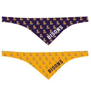 Game Day Large Reversible Pet Bandana