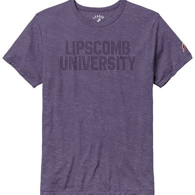Victory Falls Short Sleeve Tee | Purple