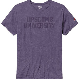 Victory Falls Short Sleeve Tee | Purple