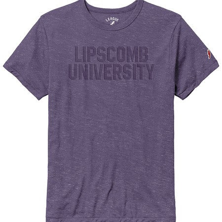 Victory Falls Short Sleeve Tee | Purple
